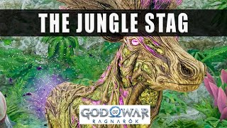 God of War Ragnarok The Jungle stag  How to find the Stag of Summer in The Jungle [upl. by Aelber870]