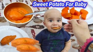 Sweet potato Recipe For baby  weight Gain baby food For 7 Month Baby Sweet potato puree for babies [upl. by Kcin162]