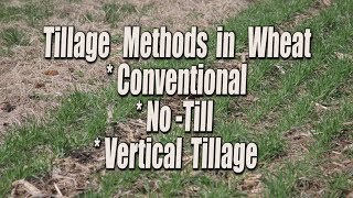 Tillage no till vertical tillage in wheat [upl. by Naujaj]