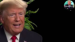 Between two Ferns Trump amp Zach Galifianakis [upl. by Jola]