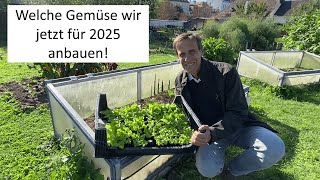 Welche Gemüse können JETZT schon für 2025 angebaut werden Wir legen ein ÜBERWinterungsBeet an 🥬 [upl. by Lomasi632]