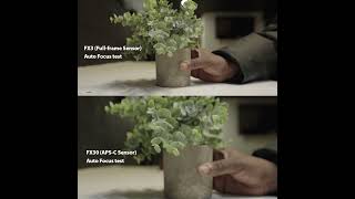 Sony FX3 vs Sony Fx30  Auto Focus Transition Speed [upl. by Nadabb17]