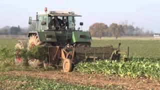 Rübenernte 2011 Bleinroth LB25 Ladebunker  Fendt 612 Case CS 150 [upl. by Ahsael]