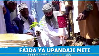 SHEIKH KISHK  FAIDA YA UPANDAJI MITI [upl. by Dituri]