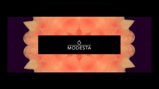 Modesta  RMX  Lyrics Video Officiel [upl. by Melania]