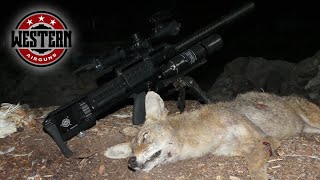 Air Rifle Coyotes The Killing Fields [upl. by Kremer890]