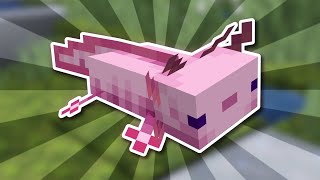 Everything There is to Know About Axolotls in Minecraft 120 [upl. by Vacla542]