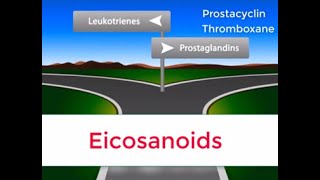 Eicosanoids in 2 minutes Prostaglandins Prostacyclin Thromboxane and Leukotrienes [upl. by Nawyt52]