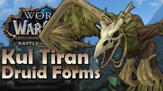 Kul Tiran Druid Forms  In Game Preview  Battle for Azeroth [upl. by Acirema]