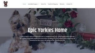 Is epicyorkies a scam or legit [upl. by Luciano809]