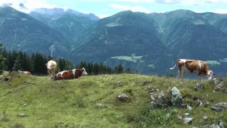 SuperschönJochalm Wanderung KärntenGailtalReisachAlpenferienpark [upl. by Jaf]