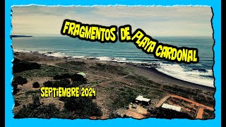 202408  Fragmentos de Playa Cardonal [upl. by Enahpad]