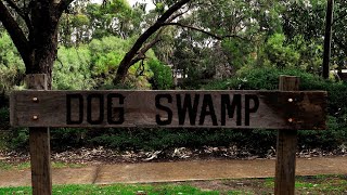 Dog Swamp Trailer [upl. by Llerred]