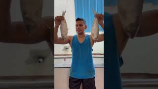 What The Fish Godavaris Famous ‘Pulasa’ ytshorts shorts trends hashtags MyBloopers [upl. by Maje]