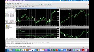 How to Install MetaTrader 4 MT4 on macOS 2021 [upl. by Anaeirb]