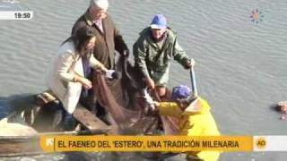 Pescando en las salinas de Chiclana [upl. by Nosemaj521]