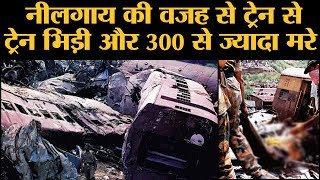 Indias Worst Rail Accident 1995  kalindi express  Purushottam Express [upl. by Zackariah408]