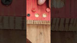 Covering the screw head using a small piece of broken antenna diy carpentry tips woodworking [upl. by Ayrb]