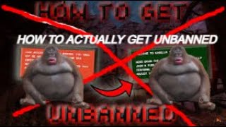 How to get UNBANNED 3 METHODS in gorilla tag STEAM AND OCULAS gorillatag [upl. by Ynes]