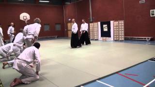 Aikido Yuishinkai Alkmaar training 1832013 [upl. by Leontyne934]