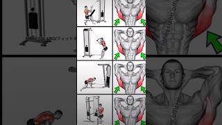 Back workout using cable machine back workout fitness youtubeshorts shorts [upl. by Yort]