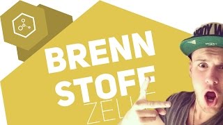 Wie funktioniert die Brennstoffzelle [upl. by Brendis338]