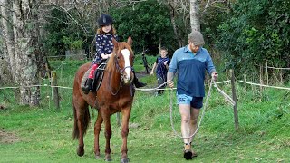 Pony Sunday with our Kaimanawas  Kapiti New Zealand [upl. by Beniamino]