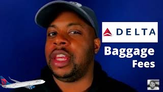 Delta Airlines Baggage Fees Explained [upl. by Ahsinev]