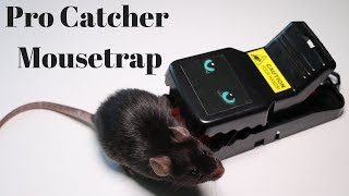 The Pro Catcher Mouse Trap Mousetrap Monday [upl. by Vinni544]