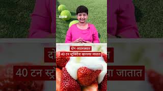 Wimbledon Tennis Fun Facts विम्बल्डन टेनिस स्पर्धेत Strawberry आणि Cream का खाललं जातं Shorts [upl. by Scot914]