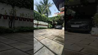 എന്റെ old hanging plants  voiceover 🎙️ part 1 Episcia varieties  garden homegardens [upl. by Ervin44]