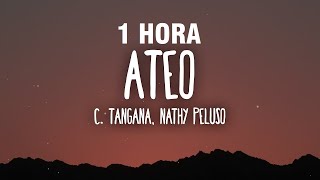 1 HORA C Tangana Nathy Peluso  Ateo LetraLyrics [upl. by Vinson]