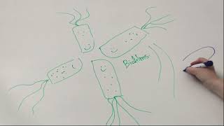 DNAbinding proteins as potential drug targets in Pseudomonas aeruginosa Madeleine Hardie Boys [upl. by Norrahs762]