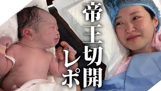 予定帝王切開で２人目誕生【帝王切開】 [upl. by Caritta]