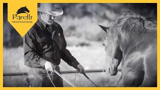 Parelli Horse Training  Horsemanship [upl. by Fulviah]