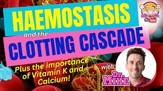 Hemostasis and the Clotting Cascade Why Vitamin K amp Calcium are important [upl. by Misa847]