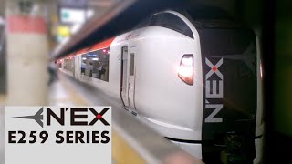 Narita Express at Tokyo Station  E259系 NEX 東京駅発車 [upl. by Benis]