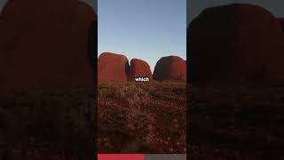 Things You Didnt Know About Uluru shorts [upl. by Holleran]