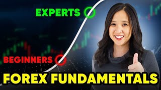 Forex Fundamentals Analysis for Complete Beginners to Level Up [upl. by Etireuqram509]