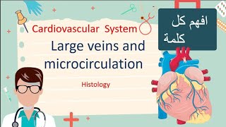 Capillaries ampAV shunt amp Portal circulation  Histology شرح بالتفصيل [upl. by Norb]