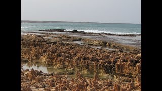 234 Кабо Верде 2017 Мурдейра Cabo Verde Murdeira Остров Сал рыбалка серфинг fishing Кайтбординг [upl. by Limemann]