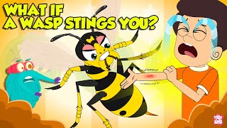 Are Wasp Stings Dangerous  What if a Wasp Stings You  How to Treat a Wasp Sting  Dr Binocs [upl. by Aerdnad646]