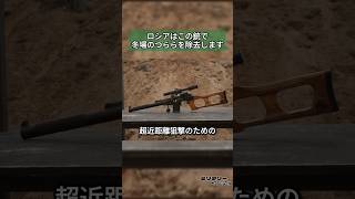 近距離戦闘に特化した狙撃銃 VSS ヴィントレス 狙撃銃 [upl. by Elehcim631]