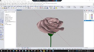 5min rose modeling 2 Rhino 3d English Version easy and fast [upl. by Cheryl]