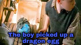 The boy picked up a dragon eggالتقط الصبي بيضة تنين [upl. by Wernda]