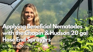 How to apply beneficial nematodes with a hose end sprayer — Chapin and Hudson 20 gallon sprayers [upl. by Bohman]