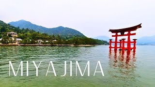 Discovering Japans delightful Miyajima Island [upl. by Vivl356]