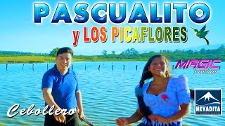 PASCUALITO  cebollero OFICIAL 2017 NEVADITA PRODUCCIONES ᴴᴰ✔ [upl. by Anialahs]