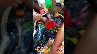 Baba baidyanath dham live darshan babadham deoghar harharmahadev shorts shortsfeed [upl. by Nauht]