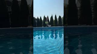 SUPER BIG BACKWARDS DIVE into Cold Swimming Pool shorts [upl. by Hameean]